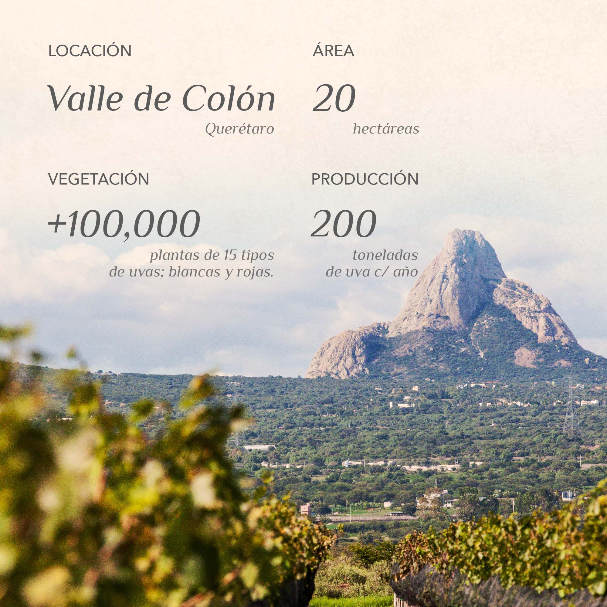 Vinaltura Vino Tempranillo Mexicano 750 ML.